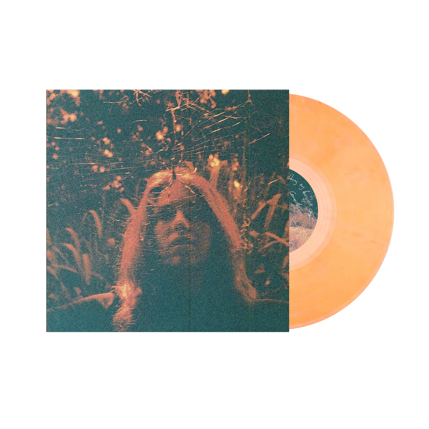 Turnover - Peripheral Vision (10 Year Anniversary Edition)