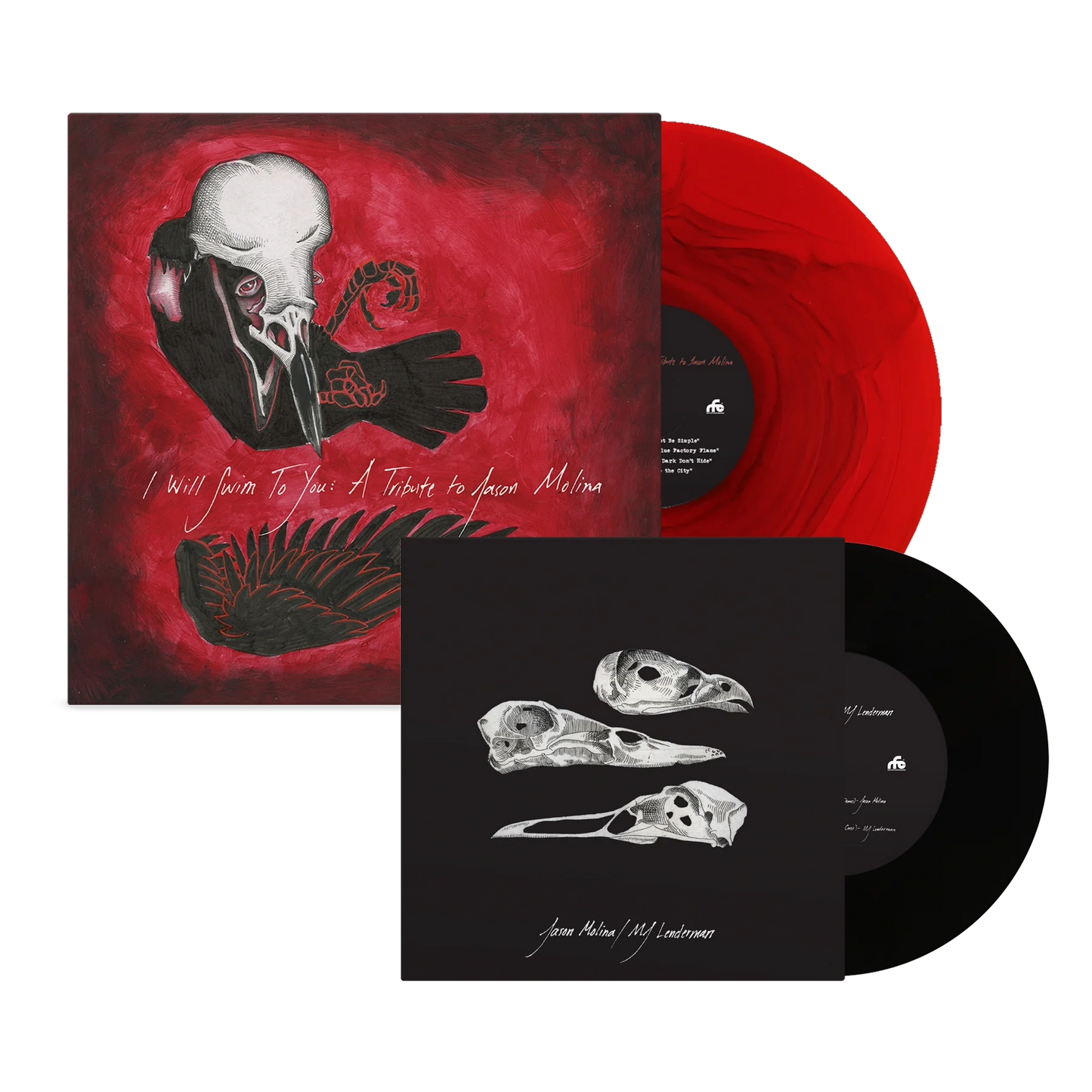 I Will Swim to You: A Tribute to Jason Molina