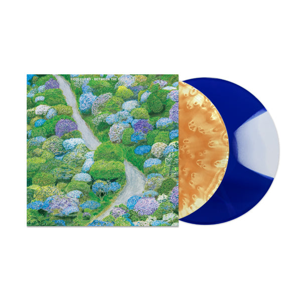 Fiddlehead - Between the Richness
