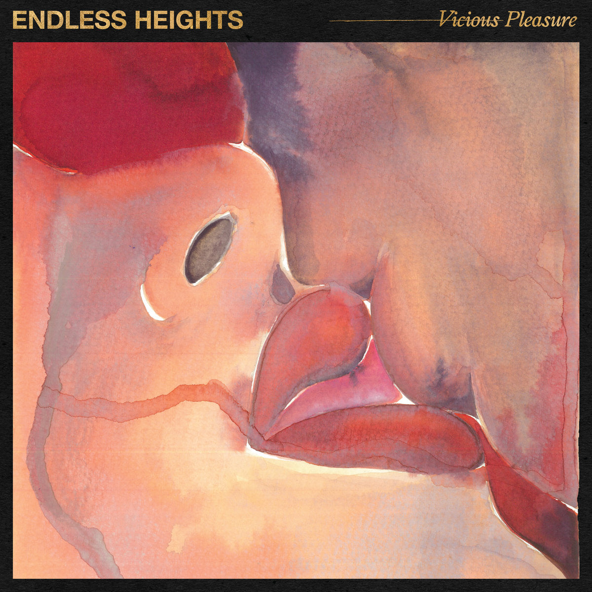 Endless Heights - Vicious Pleasure (Dented Corner)