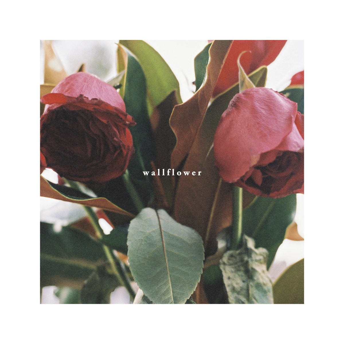 Recovery Room - Wallflower