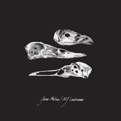 Jason Molina & MJ Lenderman 7" [PRE-ORDER]