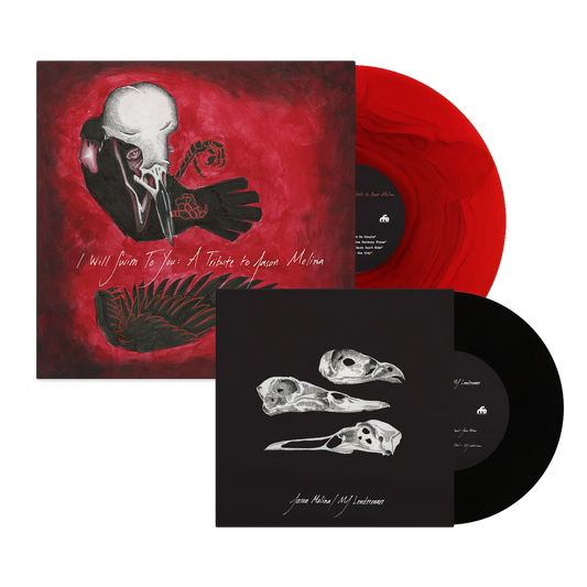 I Will Swim to You: A Tribute to Jason Molina [PRE-ORDER]