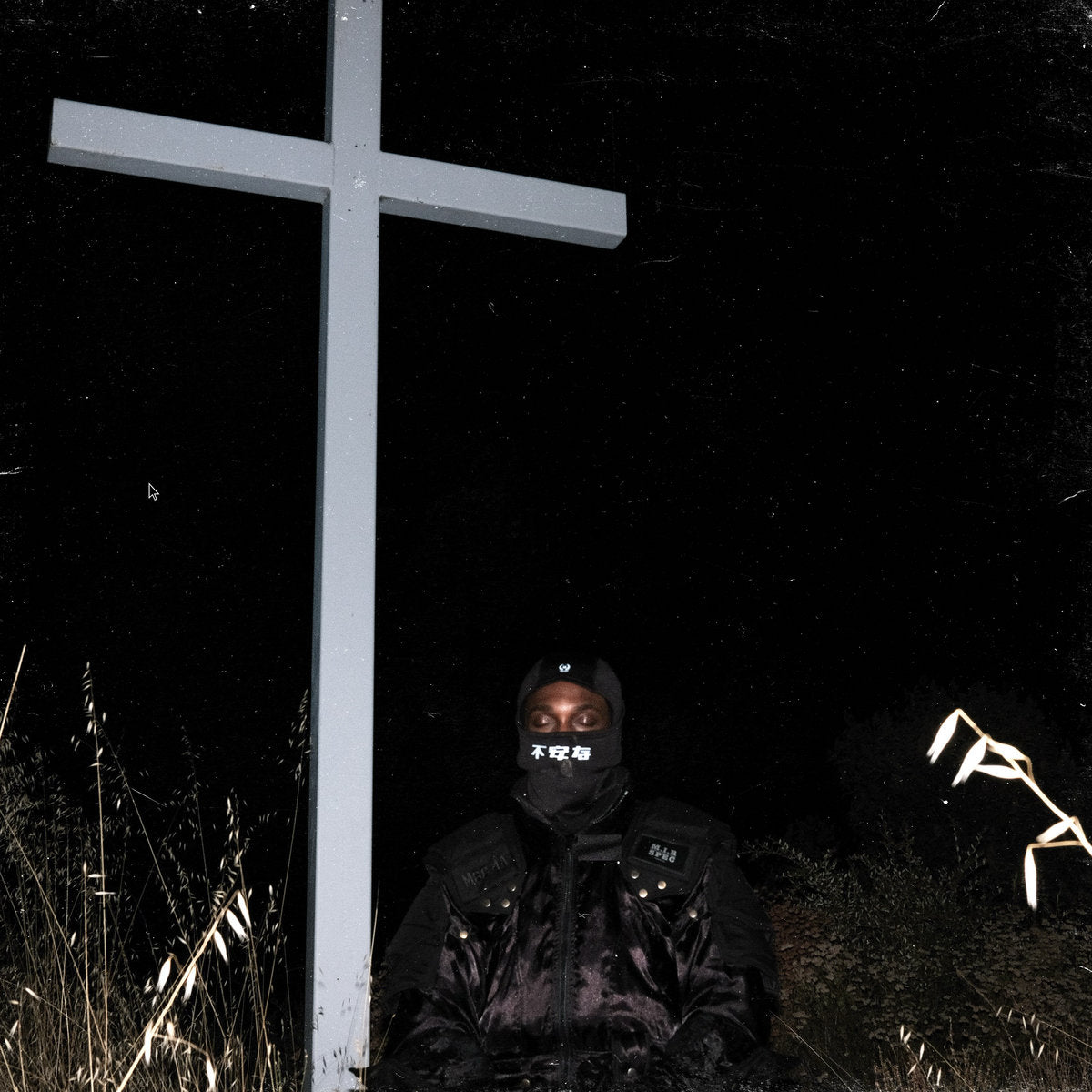JPEGMAFIA -  I Lay Down My Life for You