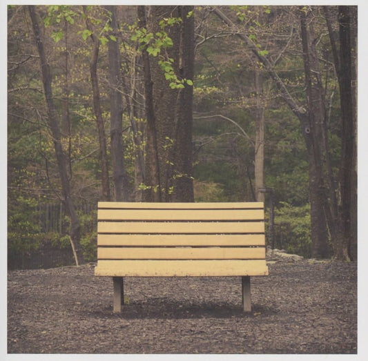 Streetlight Manifesto - The Hands That Thieve [PRE-ORDER]